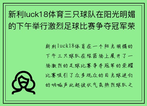 新利luck18体育三只球队在阳光明媚的下午举行激烈足球比赛争夺冠军荣耀